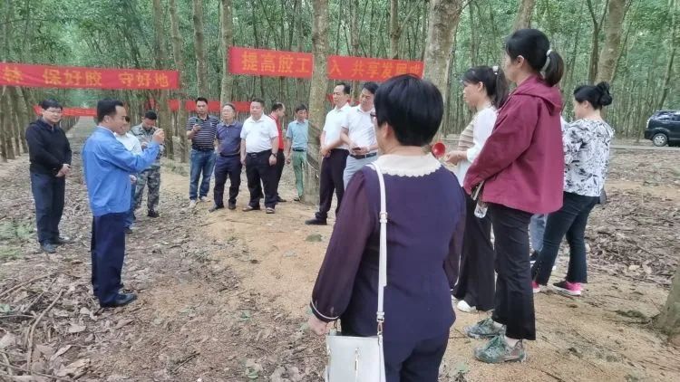 全國割膠冠軍張健給各單位學(xué)員做標(biāo)準(zhǔn)化膠園建設(shè)及割膠技術(shù)的經(jīng)驗介紹。.jpg